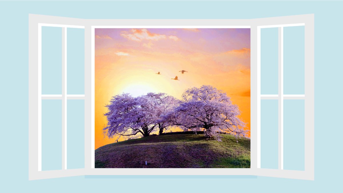 窓から見える景色