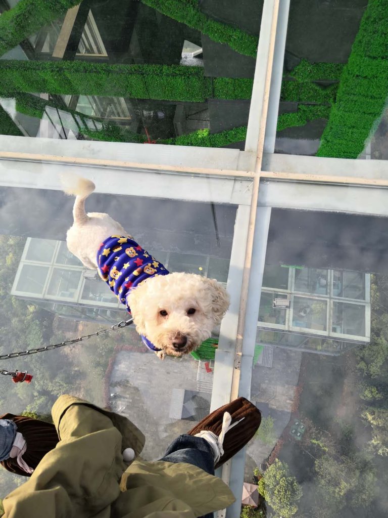 In fact, our life is still so bland, because you are different🥰