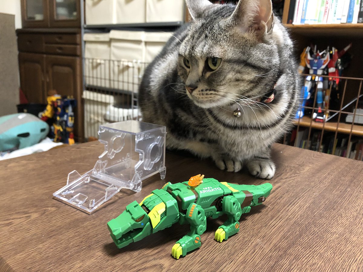 shitopiccyan's tweet image. 出てたの気付かなくて慌ててポチった奴が到着。
グリグリ動くし、変形めっちゃ凝ってて(特に尻尾！)弄ってて飽きないわ
#BeastBOX
#猫は気にするな