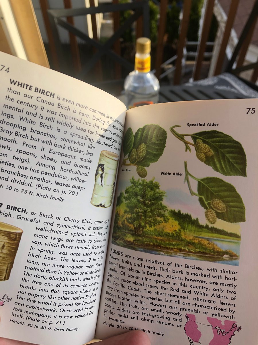 While the gin is absorbing golden rays, you may choose to read wholesome and educational literature. (5/73)