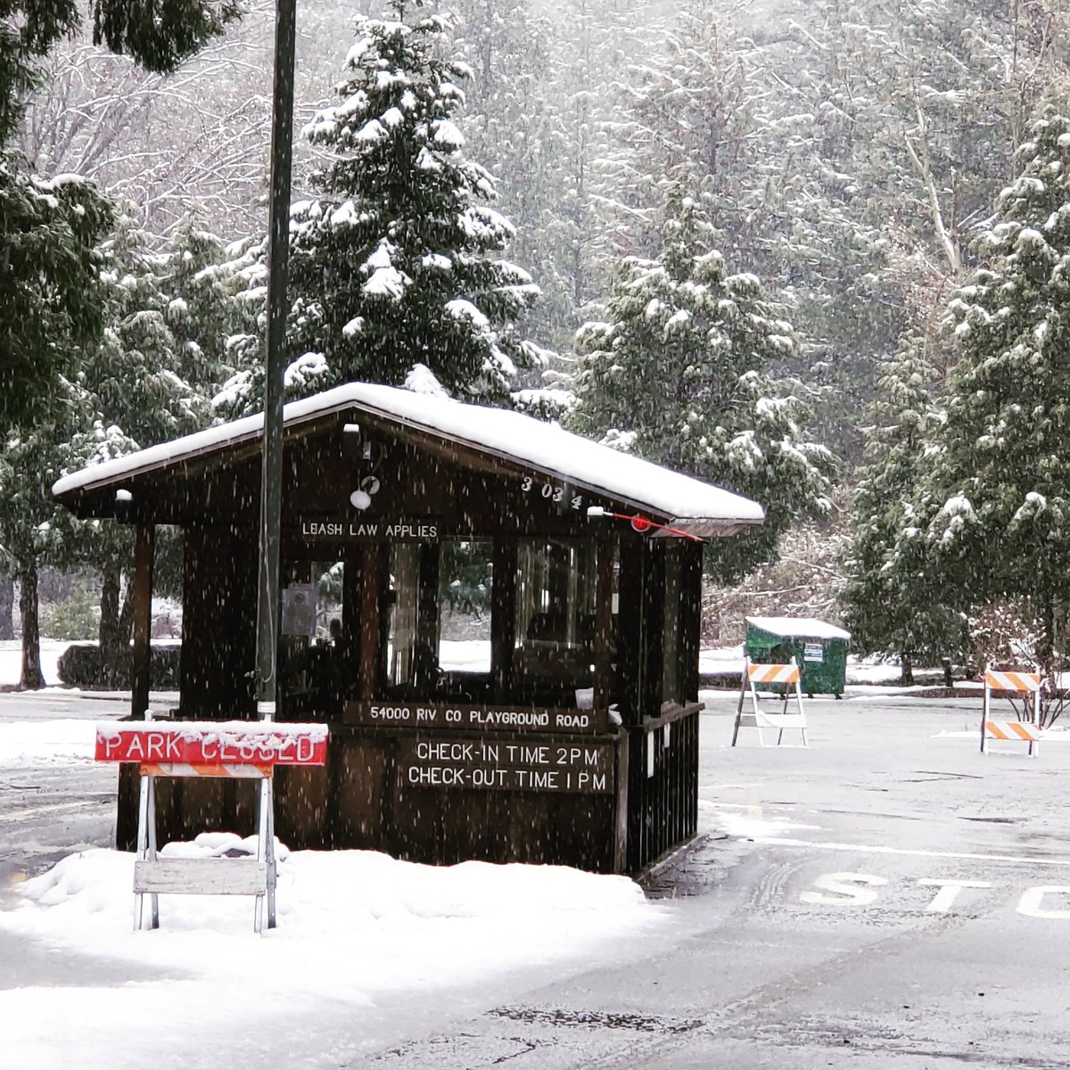 Kyla Brown tweet media