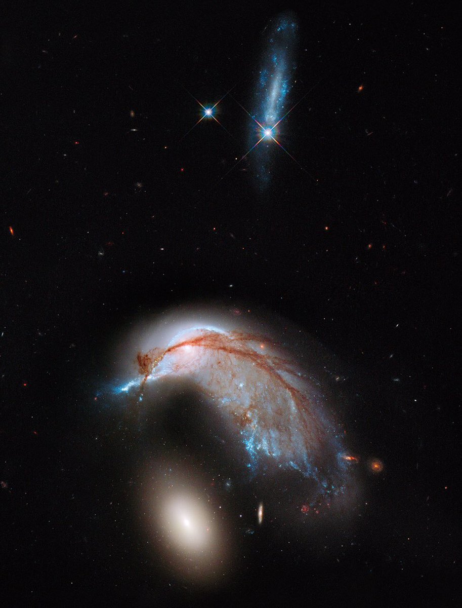 This is pretty cool, here’s the pic from my birthday...contains an interacting galaxy duo and an unrelated galaxy at the top