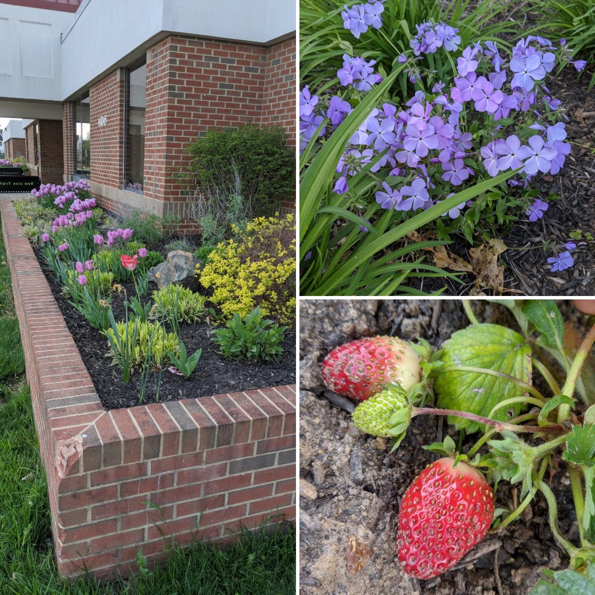 DTES_Landscape tweet media