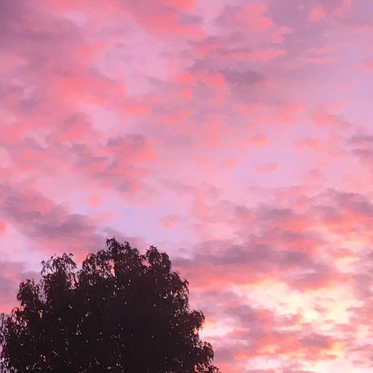 sunset season —  @conangray