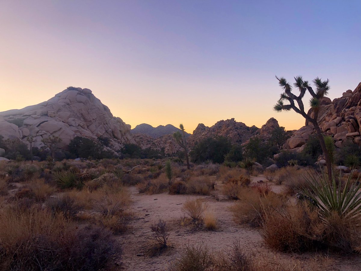 This is Joshua Tree National Park in November. When I close my eyes, it’s almost like I’m still there. For now, it’ll have to do.
