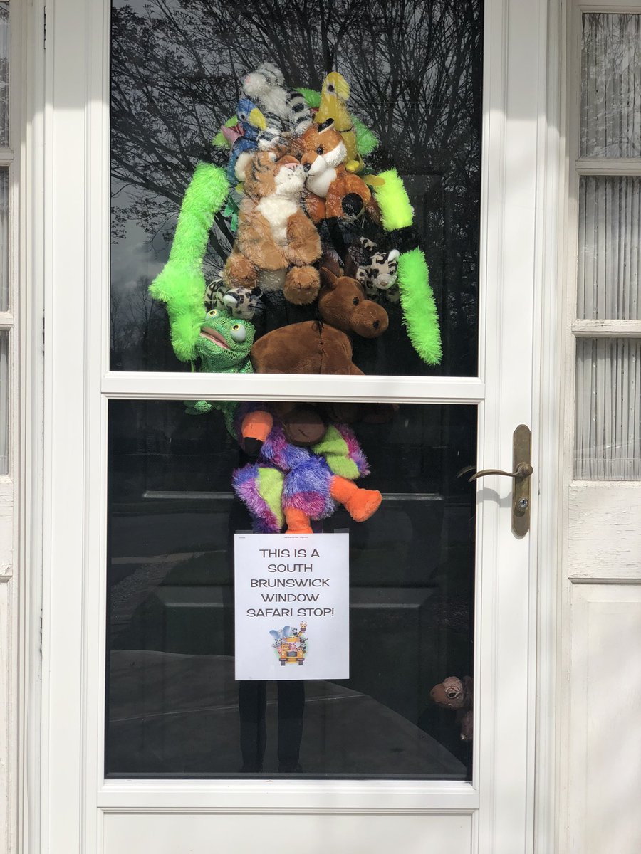 #sbsdwindowsafari. The Manganellos are in!