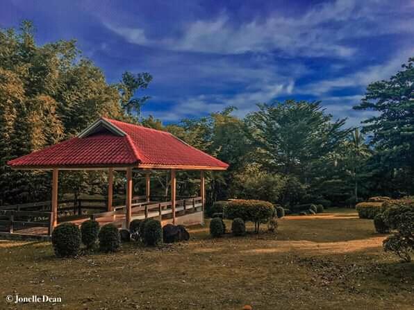 jeydeeean's tweet photo. Almost 3 months na ko wa kabalik sa biska. And i really miss this place na.

I hope safe ta tanan na mangbalik puhon. Keep on praying guys na mahuman na ni, para mapadali ang ato pagbalik sa atong pinakamamahal na unibersidad. 💚💛 @visayasstateu https://t.co/epAwiLDtmi