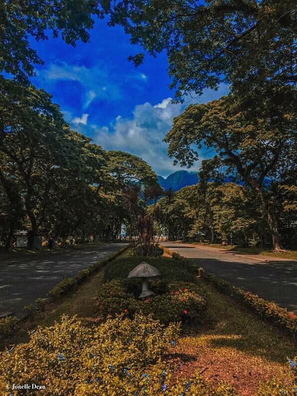 jeydeeean's tweet photo. Almost 3 months na ko wa kabalik sa biska. And i really miss this place na.

I hope safe ta tanan na mangbalik puhon. Keep on praying guys na mahuman na ni, para mapadali ang ato pagbalik sa atong pinakamamahal na unibersidad. 💚💛 @visayasstateu https://t.co/epAwiLDtmi
