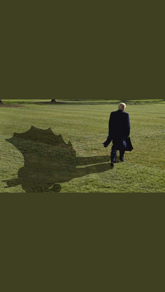 DamnSmartRN's tweet photo. @bigredwavenow @realDonaldTrump @parscale @DanScavino #BatmanTrump. Duh. https://t.co/A6BnIQVVyQ