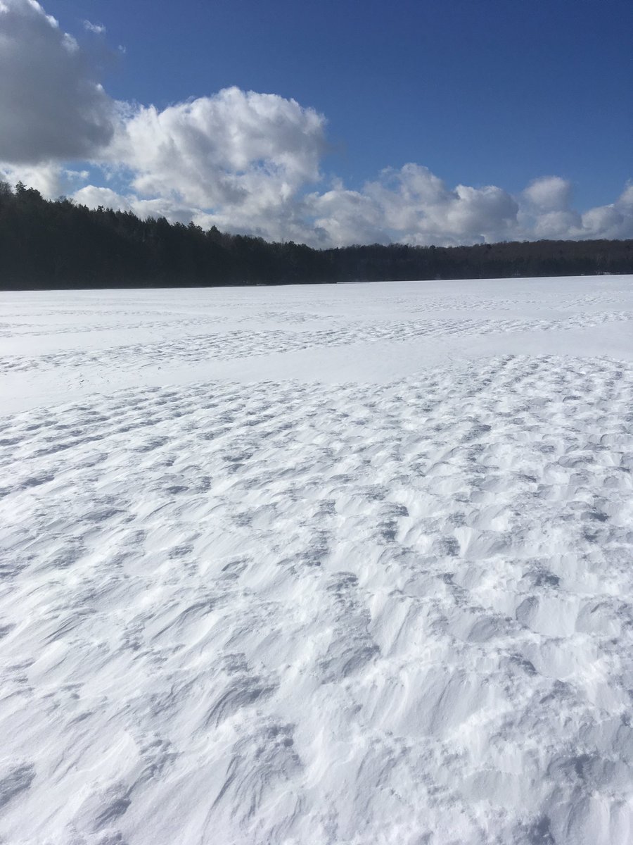 Alexis Robinson tweet media