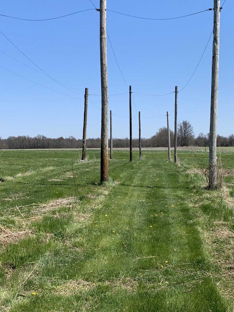 AucuttFarms's tweet photo. Still below freezing some nights on the farm, but these lines will be covered in hops before we know it. https://t.co/UKcdHhi8Xi