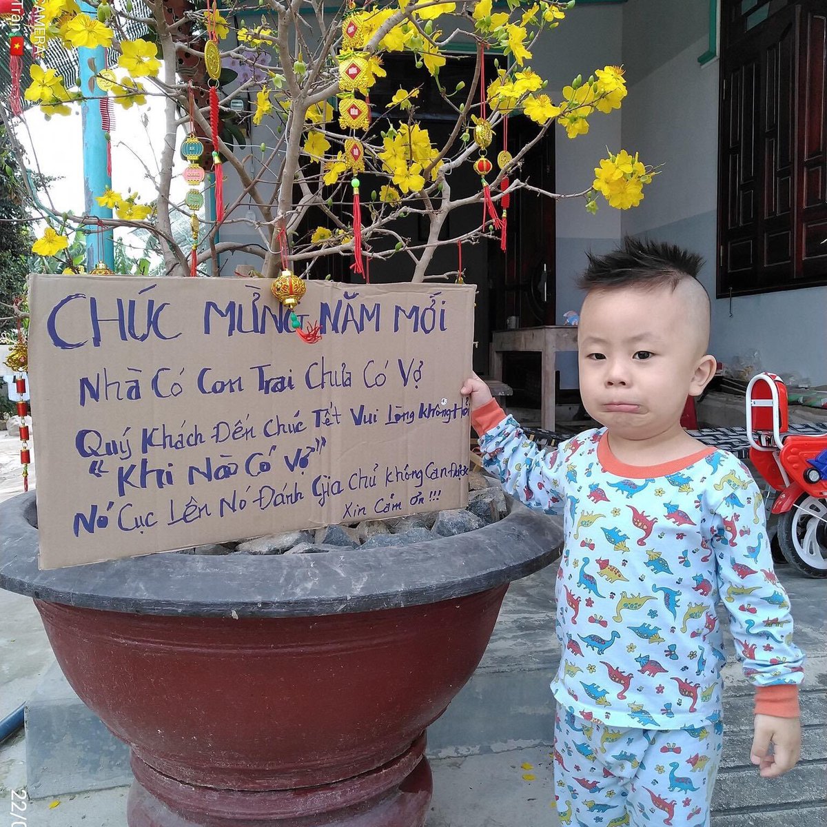 VnVantran's tweet photo. Mùng 78 tết canh tý. https://t.co/LL0KnnCAhc
