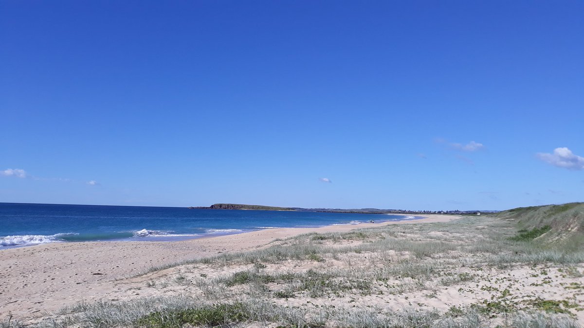 RobThomson2528's tweet photo. Windang Beach today. #spatialdistancing #windanglife https://t.co/iUwNXG0hl2