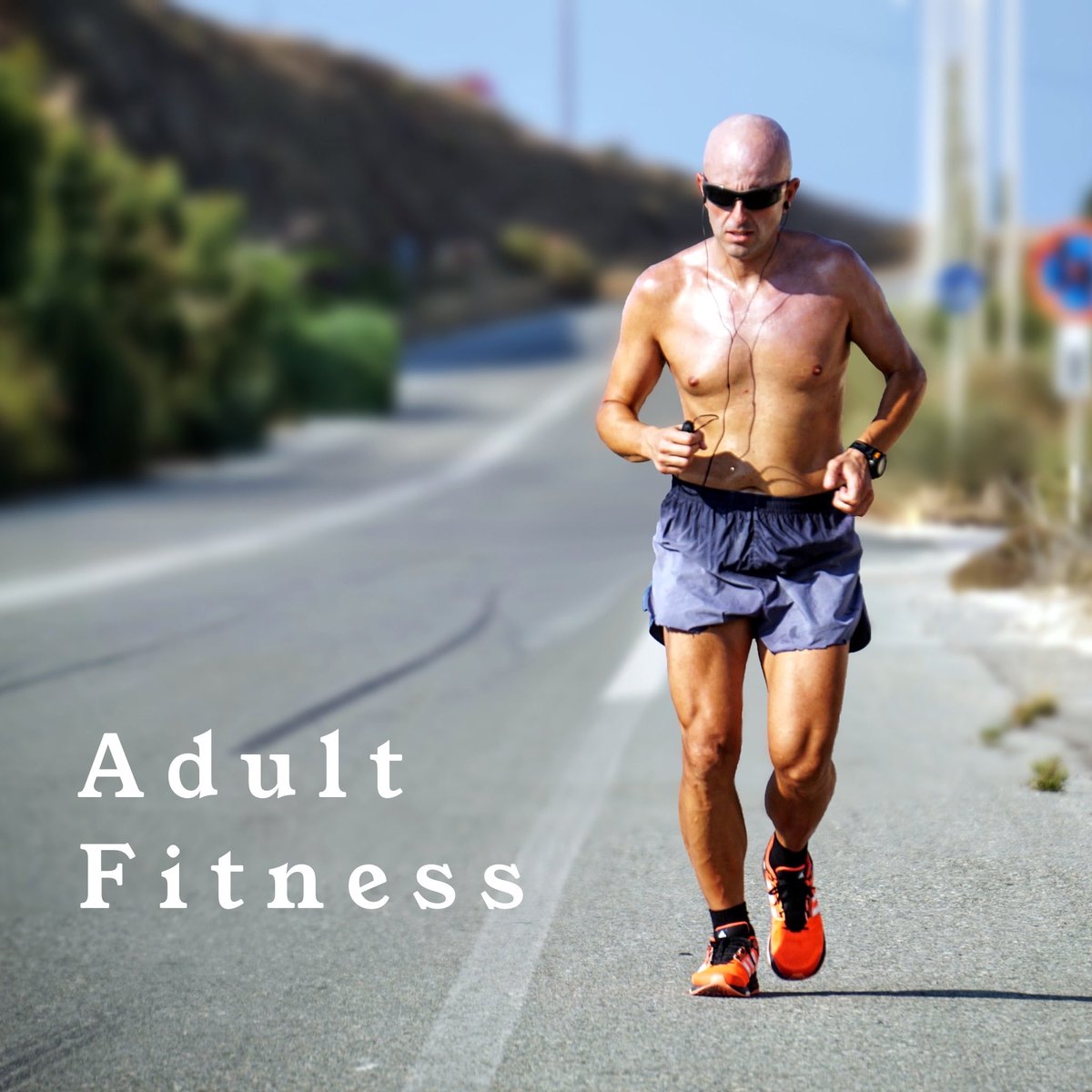 I want to take a moment to describe something I like to call “Adult fitness”.Adult fitness is my term for a level of fitness and activity in ones life that an “adult”, by a certain level of maturity, will achieve.