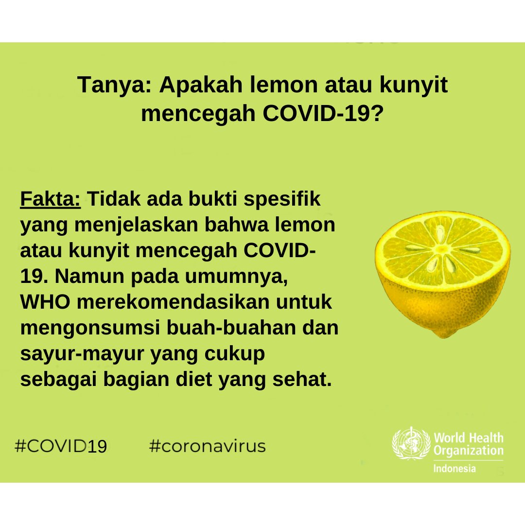 WHOIndonesia's tweet photo. Apakah berbagai buah ini bisa melindungi kita dari #COVID19 dan membunuh #coronavirus? Jawabannya ada di 👇👇👇 https://t.co/w54ID1xEfS