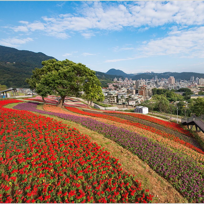 Wilson Chiang tweet media