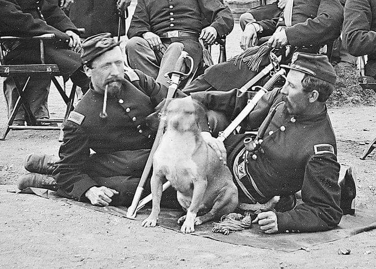 Unknown infantry officers with a gently shaking dog
