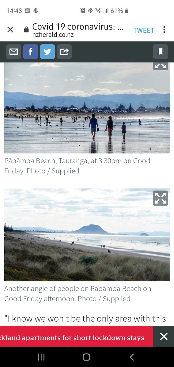 Interesting, this second photo was not in the article this morning. Hmmm.