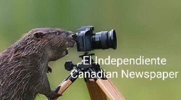 elindependiente's tweet photo. @prensaizcanal @RadioMayaVision @radioyskl @YSUCA_RADIO @DiarioCoLatino @cusuca1969 @GrijalvaFMLN @cacoaguilar SR Fiscal @MelaraRaul EN ESTOS MOMENTOS SE DAN ABUSOS DE LA @PNCSV @Director_PNC EN LA RESIDENCIAL MADRID, SAN SEBASTIAN SALITRILLO, SANTA ANA. #ACTUE https://t.co/oVjbjhxGD7