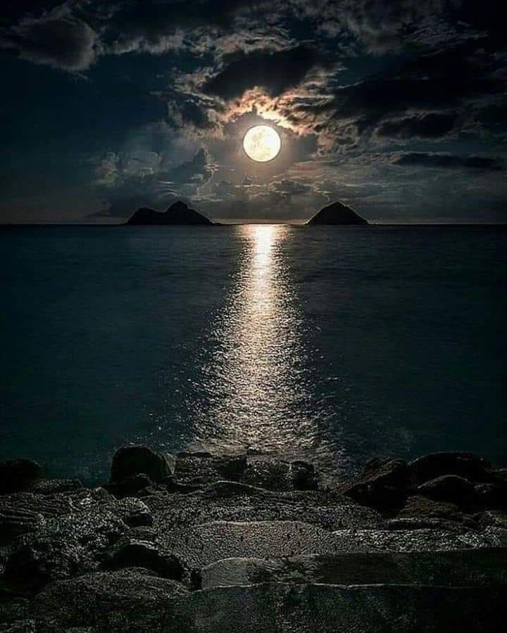 Mystery Planet on X: Buenas Noches! #noche #luna #moon #goodnight # buenasnoches #mar #oceano  / X