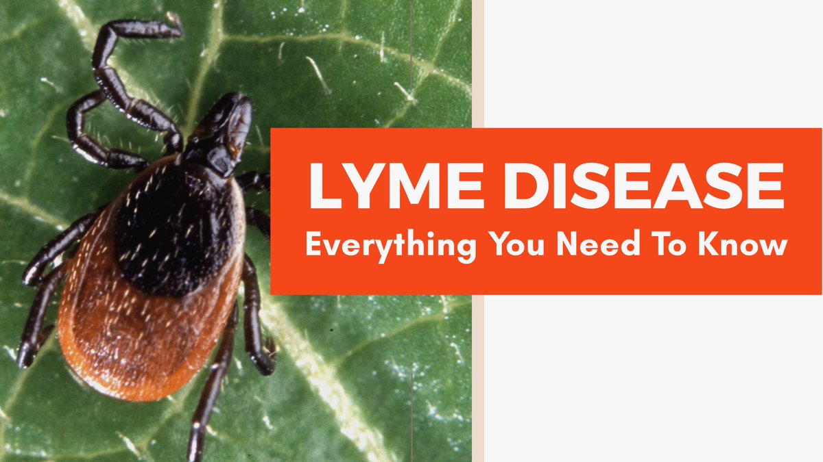 EVERYTHING YOU NEED TO ABOUT #LymeDisease, How to diagnose &amp; treat it naturally.  Watch here👇
youtu.be/4Hgj5OA6jyI
