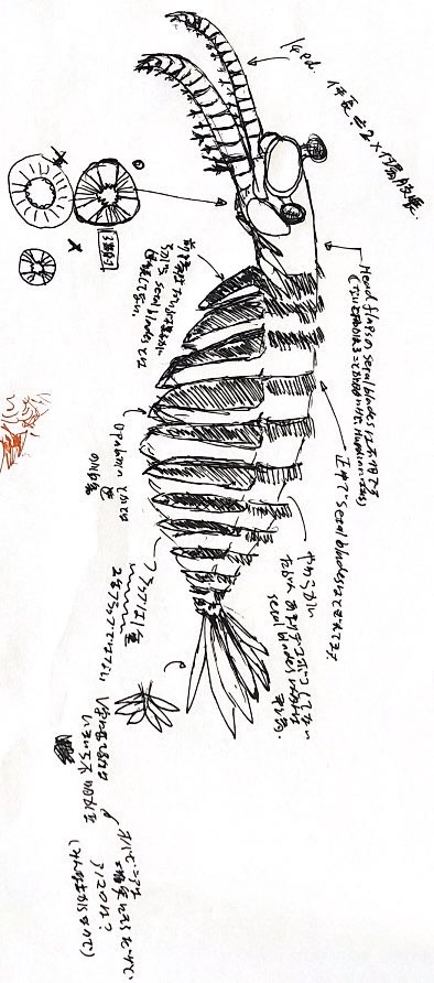 Anomolacarids ... the apex predator of the Cambrian oceans (550 million years ago). Occasionally, you will find a trilobite fossil with a bite taken out of it ... small enough that it survived a bit longer.Treasure those fossils. #TrilobiteTerror  #FossilFriday