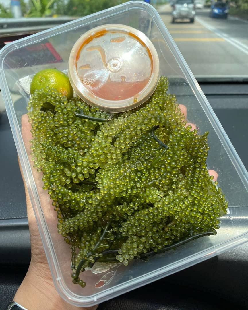 khaisolco's tweet photo. @phoenixterbang Hai everything 🥰 Siapa yang area Melaka dan nak makan latok boleh je ws terus tau😘

RM 15 sahaja satu box

meh ws terus
 https://t.co/bwLJ0uN9a8 https://t.co/7mWNELGJof