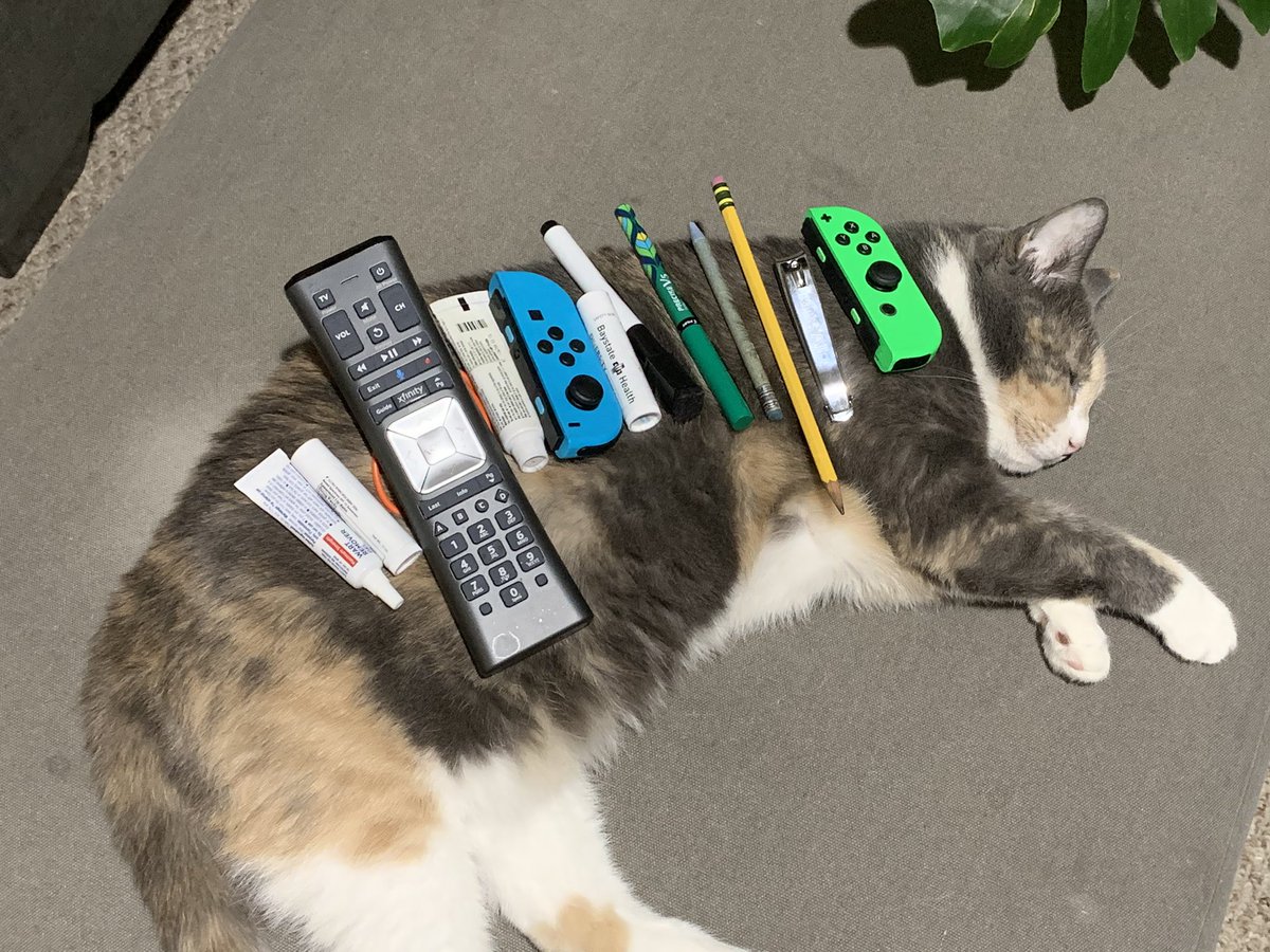 f0cUsPanic's tweet image. Is this like the #CatStackChallenge or something? I’m pretty sure I can take this further...