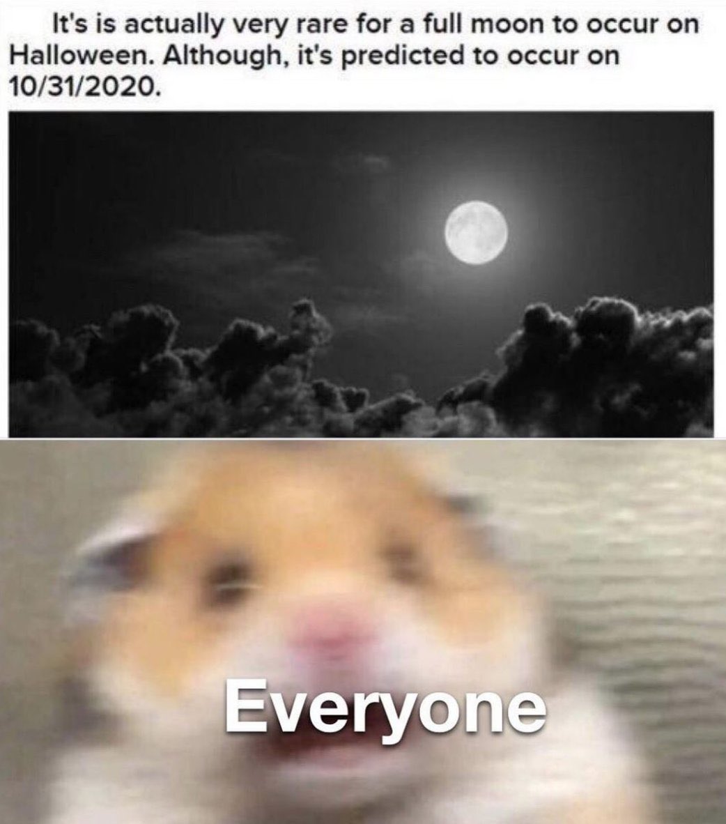 Saúl Ace🇵🇷👑 tweet media