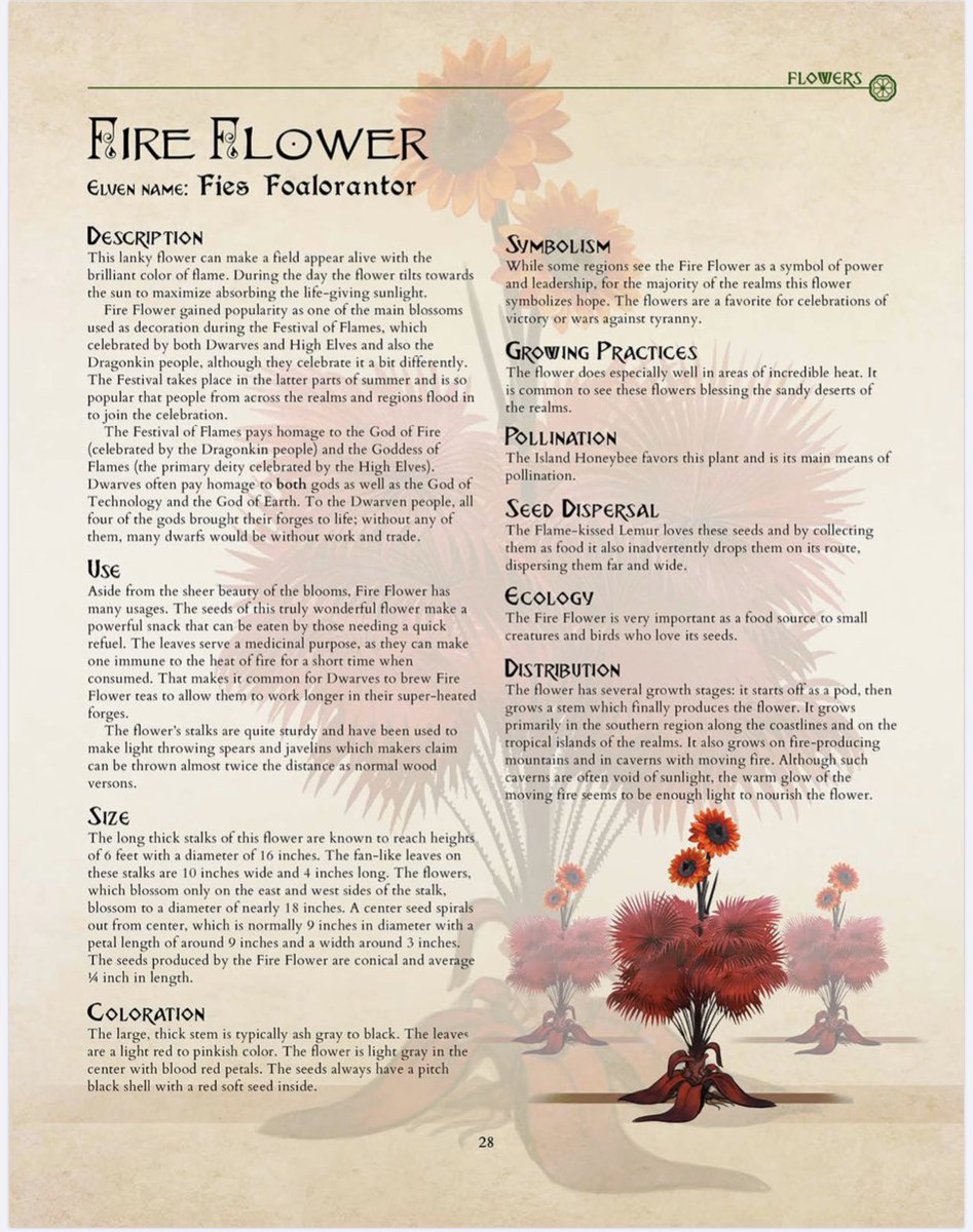 How To Name My Fantasy World How To Name My Fantasy World