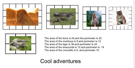 Nancy Quinones tweet media