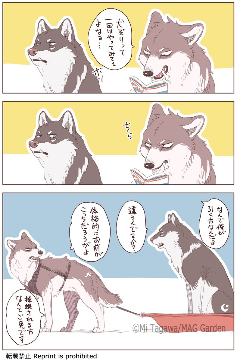 ?? #こりせんまん 