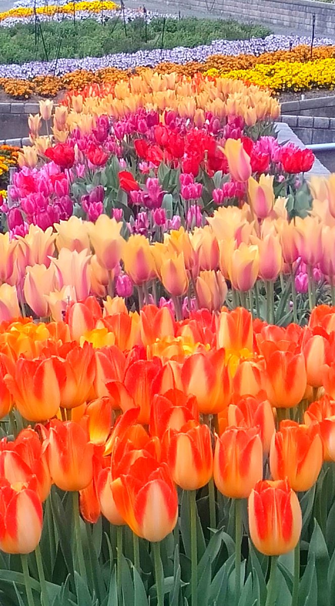 和歌山緑化センター