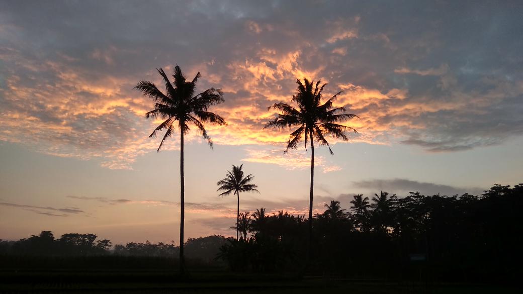 bagonkisme's tweet photo. Foto-foto pemandangan sunrise, Gunung Merbabu &amp; Telomoyo, sawah, selokan.

A THREAD. https://t.co/mbSptqKt7w