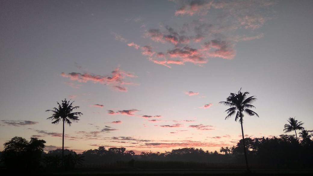 bagonkisme's tweet photo. Foto-foto pemandangan sunrise, Gunung Merbabu &amp; Telomoyo, sawah, selokan.

A THREAD. https://t.co/mbSptqKt7w