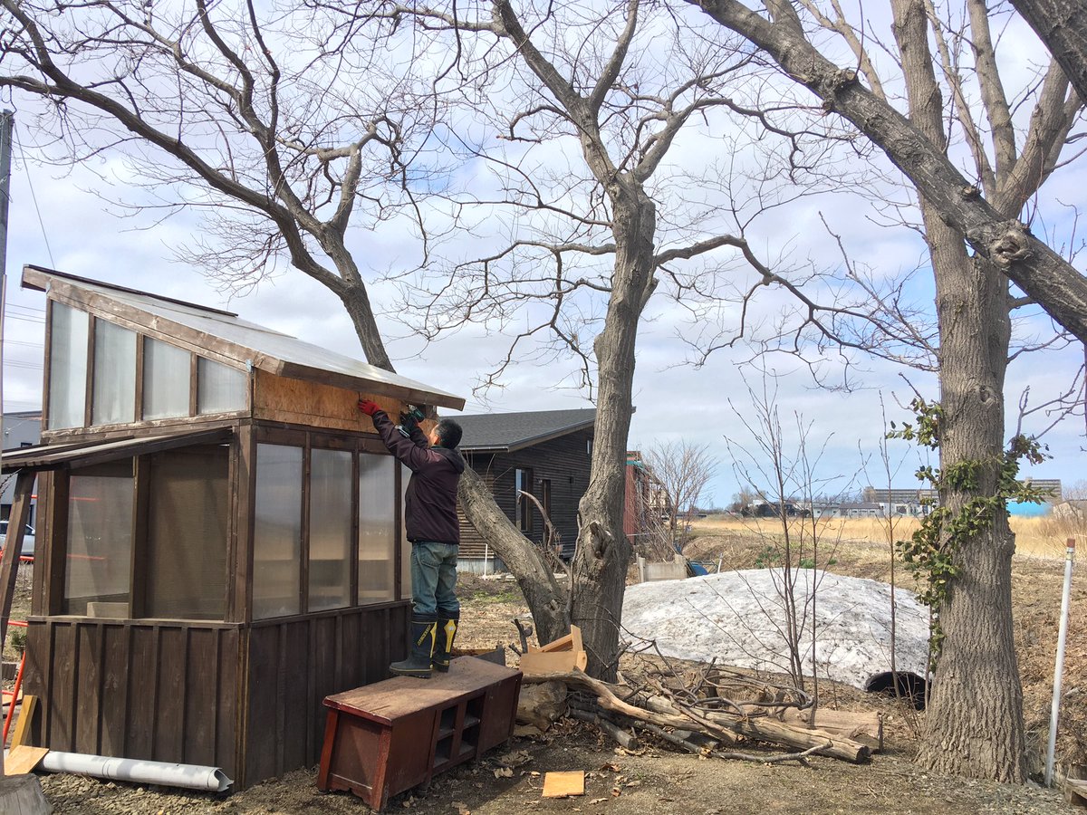 木の上の図書室 Hontoki ツリーハウス予定地の隣には 鶏小屋があります この鶏小屋も手作りで 現在は ツリーハウス との兼ね合いを考えてリフォーム中 ツリーハウス 自作小屋 鶏小屋 Diy ドゥーパ