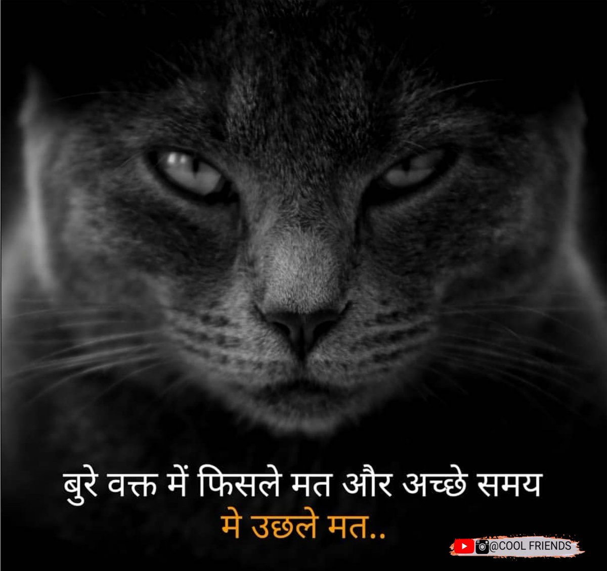 RiyazWarisArt's tweet photo. #Success #quotes #Riyazwaris #lifequotes #hindiquotes #life #changing #positive #quotes #lifethinking #motivationalquotes #insprational #quotes #quotes #life #positivity #hindi #lifechanging #lifestyle #lifestyleguide #Successhindi #coolfriends #motivational #positivity https://t.co/fkR9vrH7Cl