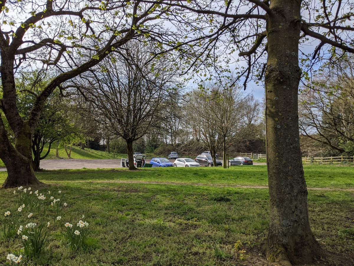 HayleyToothill's tweet photo. @syptweet Loxely Common car park is looking nice and busy 👎 https://t.co/I0wYv9athH