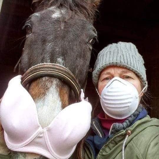 locogear_sa's tweet photo. Here's to keeping everyone safe during shutdown, even the fur children!

#covid-19 #shutdown #facemask #horses #locohorsegear #besafe #bepositive #southafrica https://t.co/nYTeXBe8nM