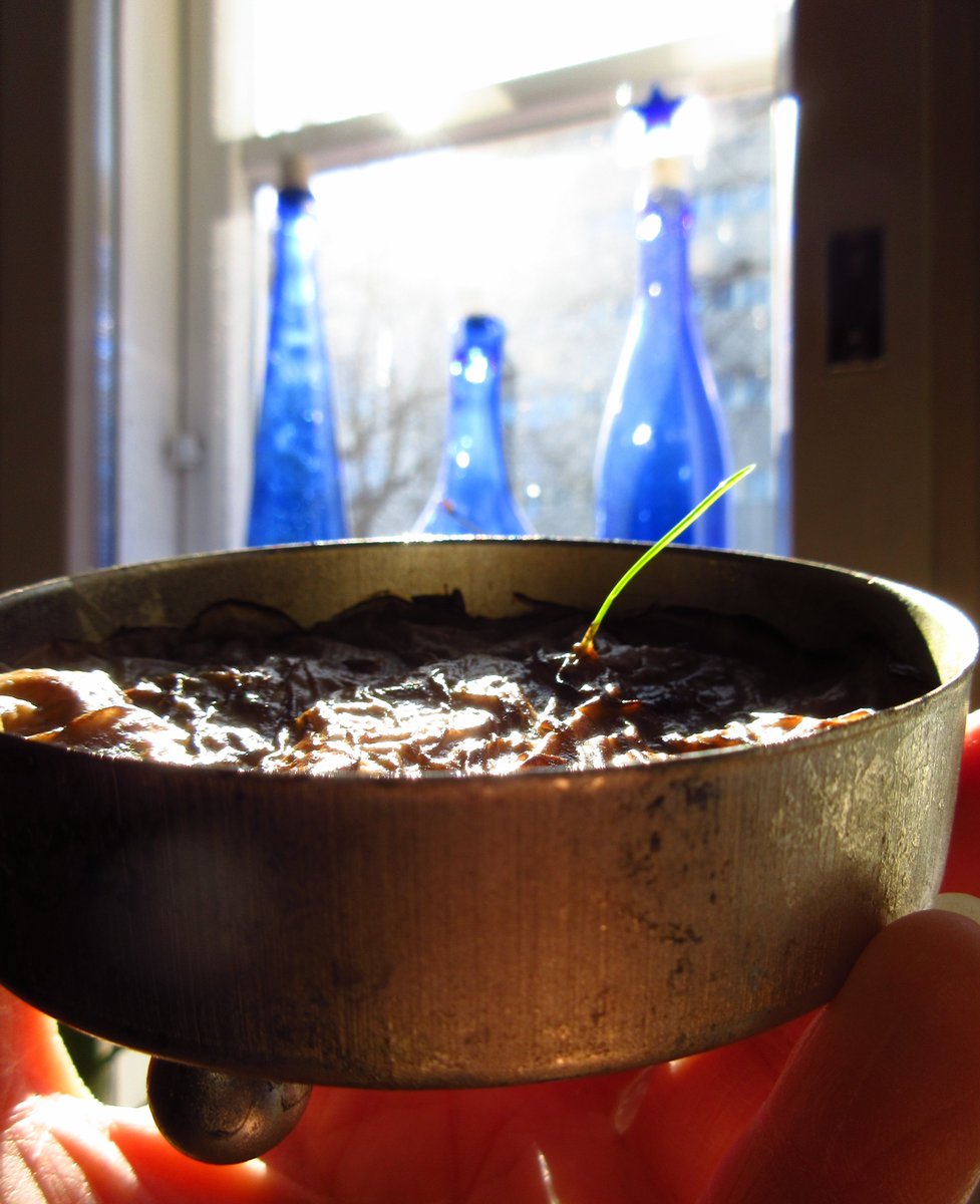 NittaLinds's tweet photo. Viherpeukaloiden rairuoho... / Green thumbs' Easter grass... 👍 🌱 💚
#Italianraiheinä #ItalianRyegrass #LoliumMultiflorum #Rairuoho #EasterGrass #Viherpeukalo #GreenThumb #Pääsiäinen #Easter https://t.co/MGRsdMxbDA