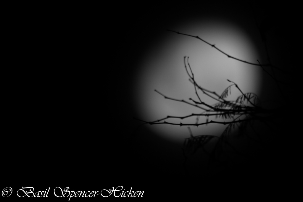 phototune's tweet photo. Corona Moon https://t.co/3rbjWXCgW4 https://t.co/zv5YErF2KE