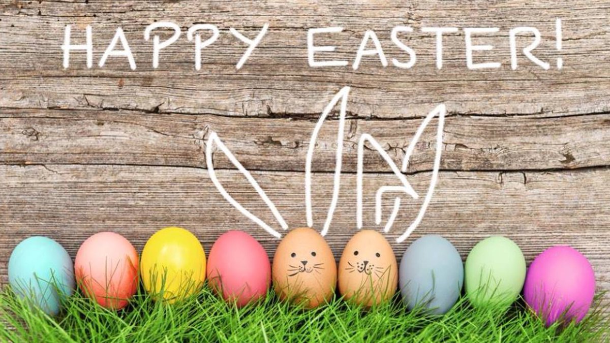 OdtSouth's tweet photo. Happy Easter to all our @nhsbt colleagues and regional units. We hope those of you not working get some well earned rest. For those that are working stay safe and hope the Easter bunny manages to get a little treat to you wherever you are. 🐰🐰🐰 https://t.co/iitwONn2Z6