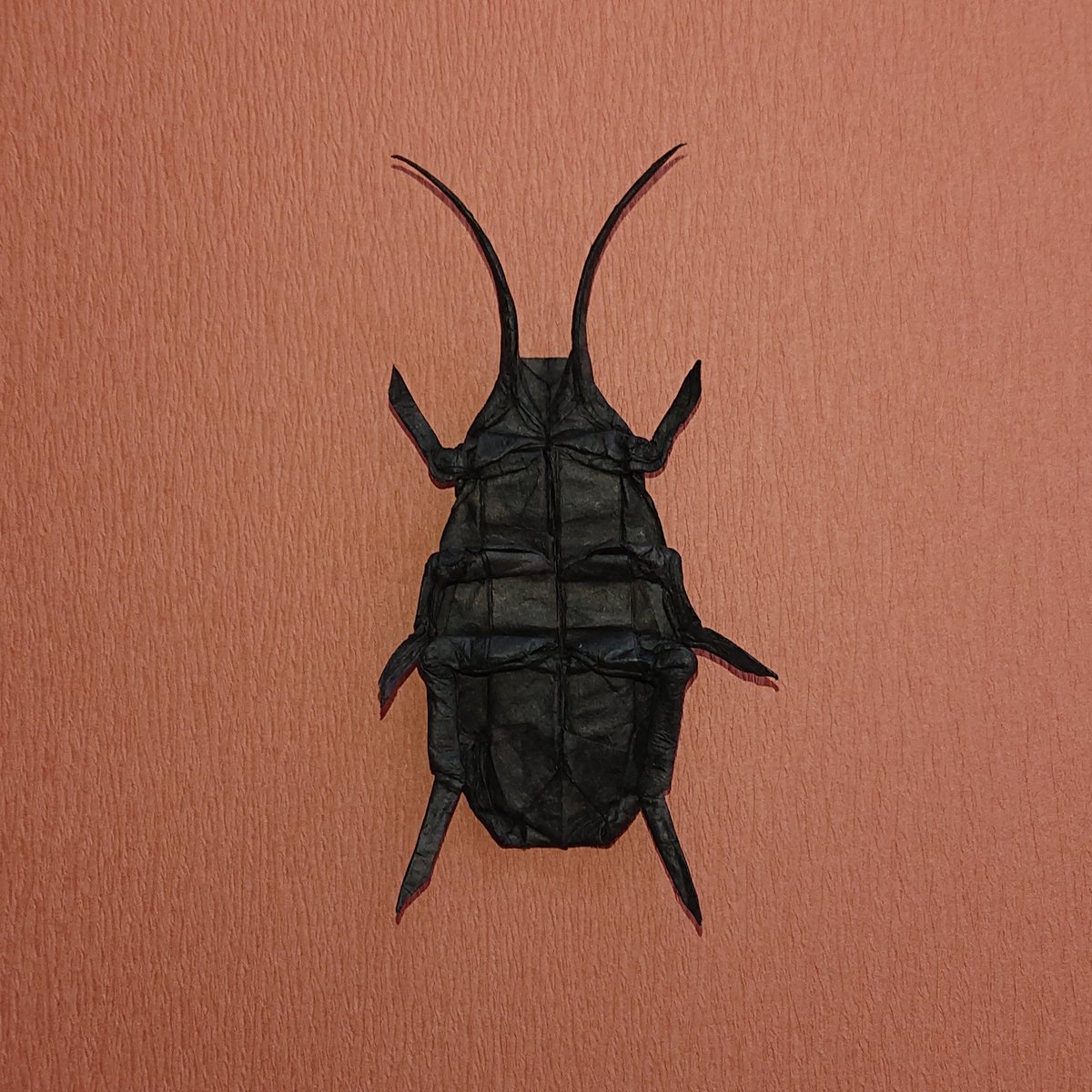 origami_kohei's tweet photo. 折り紙 // ゴキブリ ~Cockroach~
創作者 : ロバート・J・ラング
制作者 : こーへー
使用した紙 : ダイソー和紙
紙のサイズ : 30×30cm
#折り紙 #ゴキブリ #ロバート・J・ラング
#origami #cockroach #robertjlang https://t.co/r15E3UrKVS