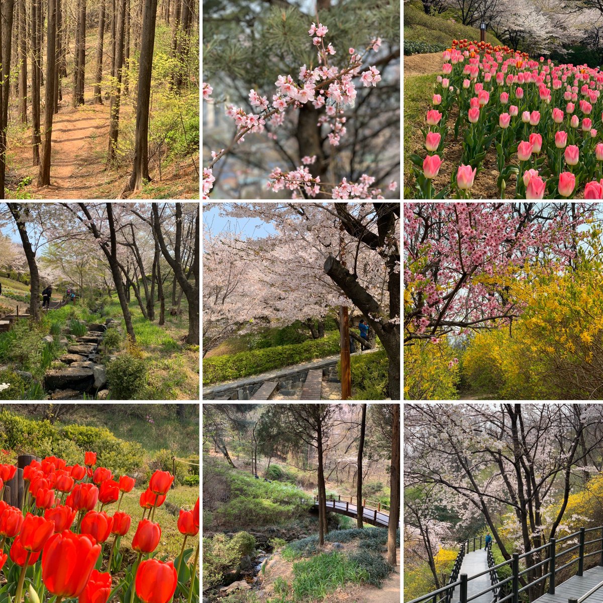 Easter weekend in Seoul