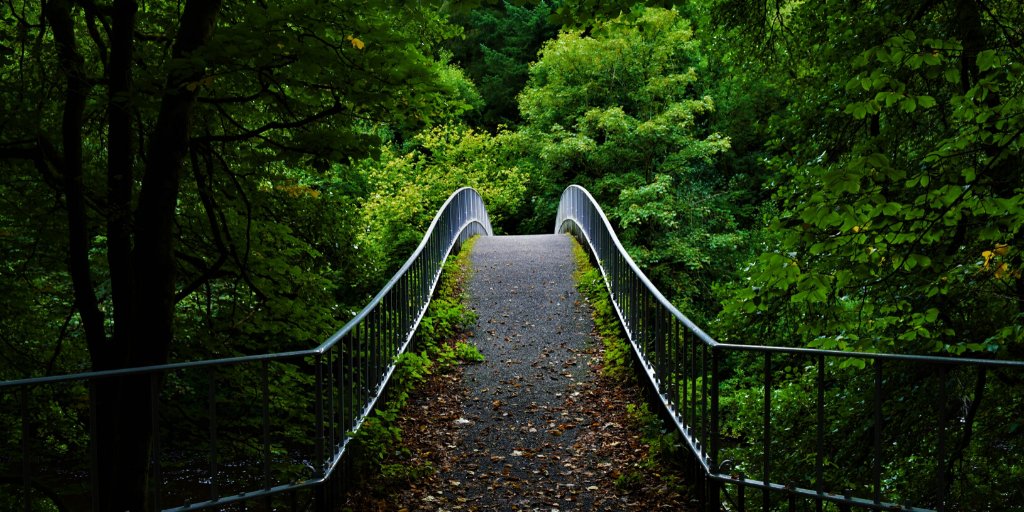 langholmonline's tweet photo. Have you joined us as a #member yet? There are three types: #community, #associate and #junior. We rely on a strong membership to demonstrate support for our important work, and we need you now more than ever!

Check it out here: https://t.co/CD0qwtroXO https://t.co/RkyjLkXaib