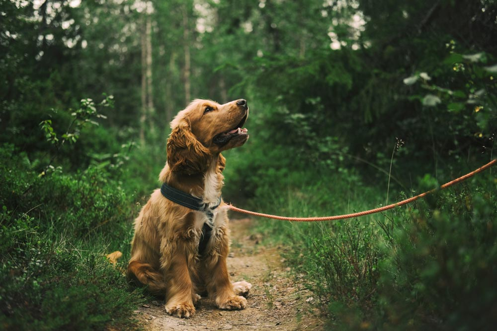 Lower Mill Estate tweet media