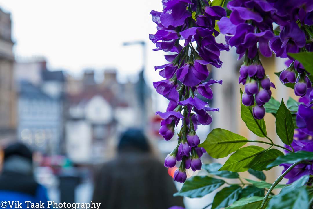 A shot taken a few weeks ago in #Edinburgh just before the lockdown. 

Hope you are all safe & well 

#Scotland #oldtownedinburgh #photography #canonphotography