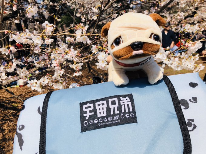 Tweets Populaires宇宙兄弟 39巻発売中 11 Whotwi Analyse Graphique Twitter