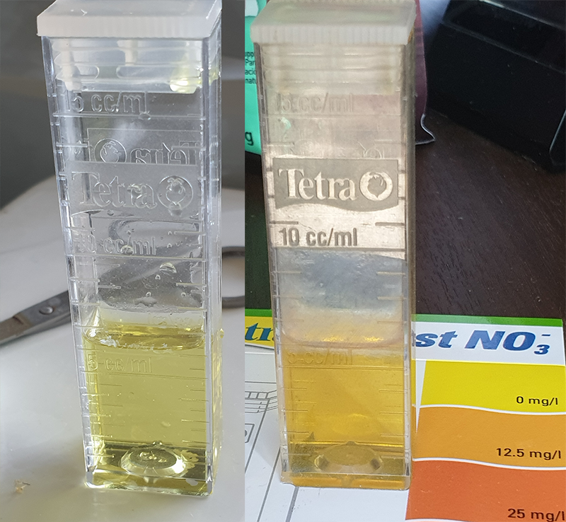 Holy moly, my ammonia and nitrate test are almost the same color (and that's a good thing)Still no water change, & my nitrates levels are dropping not increasing, which is gr8!Funnily, I actually don't want my nitrate levels to drop too low or my water lettuce will be unhappy.