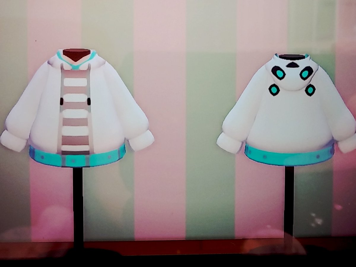 ワイテルズパーカー Nakamu-